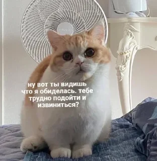 Sticker Больше стиков тут: @stikery4 - 11