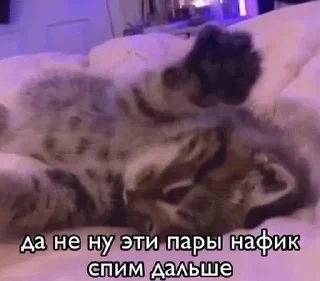 Sticker Больше стиков тут: @stikery4 - 8