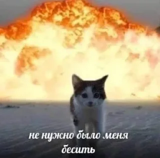 Sticker Больше стиков тут: @stikery4 - 3