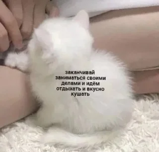 Sticker Больше стиков тут: @stikery4 - 0