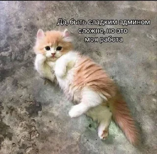 Sticker Больше стиков тут: @stikery4 - 1