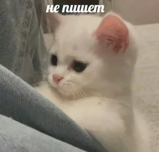 Sticker Больше стиков тут: @stikery4 - 10