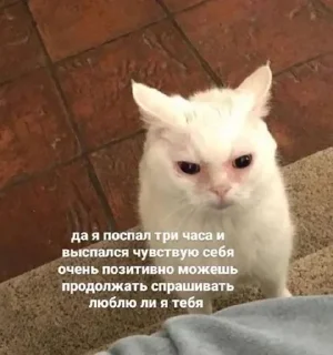 Sticker Больше стиков тут: @stikery4 - 7