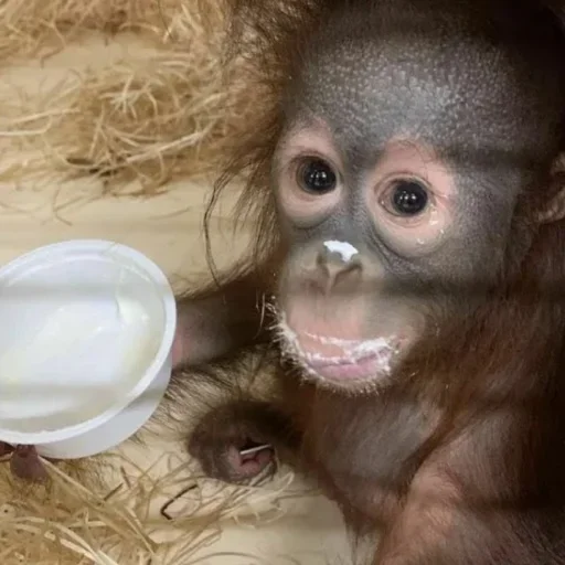 Больше стиков тут: @stikery4 - 