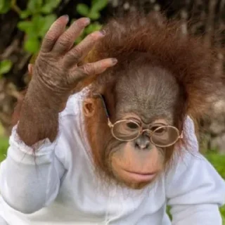 Стикер Больше стиков тут: @stikery4 - 10