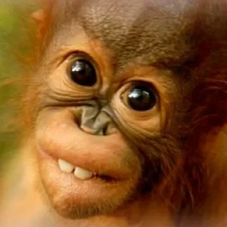 Стикер Больше стиков тут: @stikery4 - 6