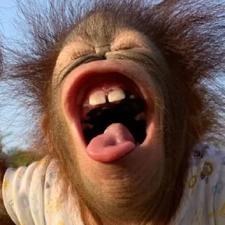 Стикер Больше стиков тут: @stikery4 - 8