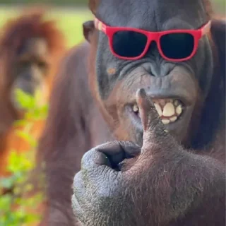 Стикер Больше стиков тут: @stikery4 - 4