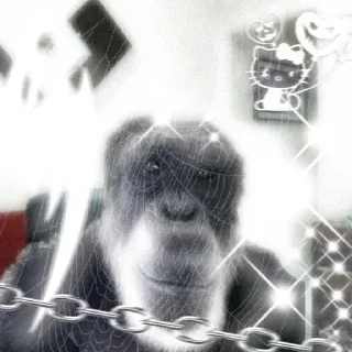 Стикер Больше стиков тут: @stikery4 - 11