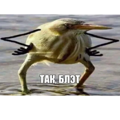 Mmmmmmmm by @stqrapp - 