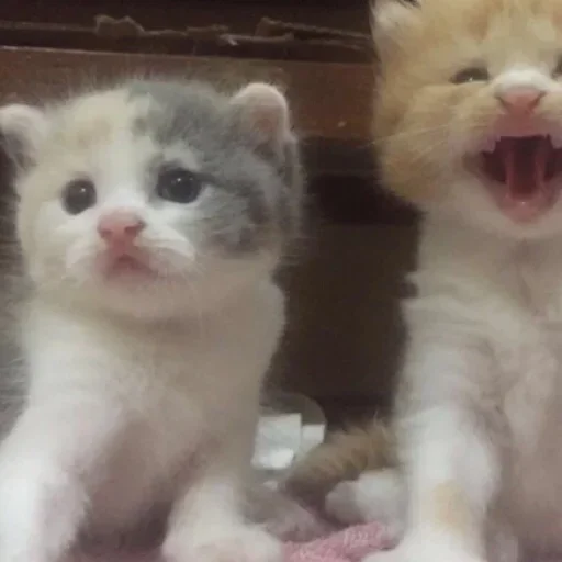 Sticker zMZHzpN_by_achestickbot - 1