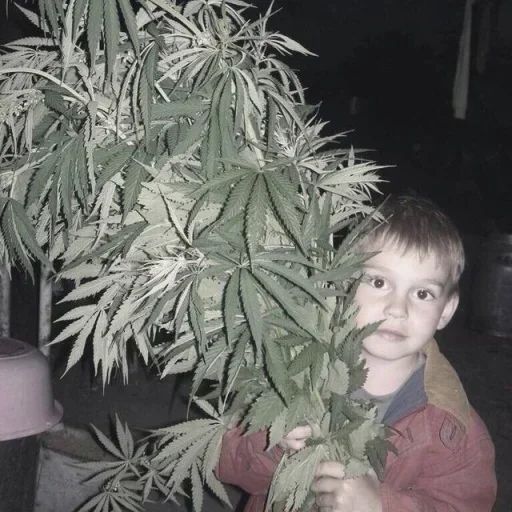 Sticker zMZHzpN_by_achestickbot - 1