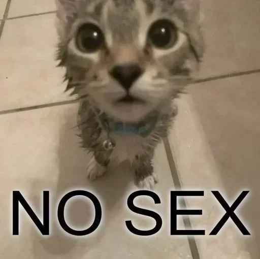 Sticker zMZHzpN_by_achestickbot - 1