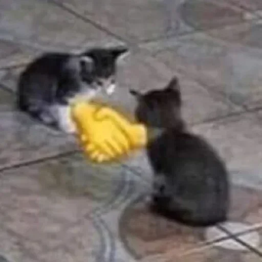 Sticker zMZHzpN_by_achestickbot - 1