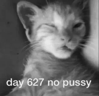 Sticker Больше стиков тут: @stikery4 - 2