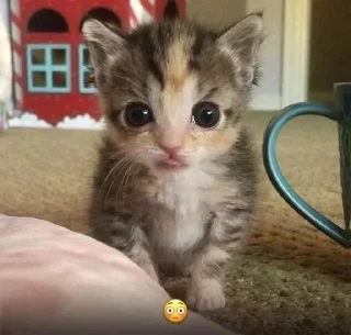 Sticker Больше стиков тут: @stikery4 - 8