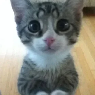 Sticker Больше стиков тут: @stikery4 - 4