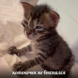 Стикер Лучьше стикеры - @lovesticers - 10