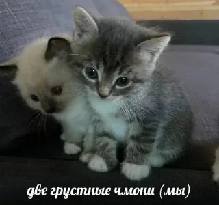 Стикер Лучьше стикеры - @lovesticers - 2