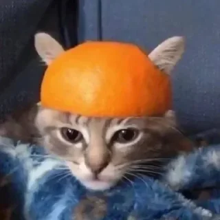 Стикер Больше стикеров 👉🏻 @stickertg4 - 5