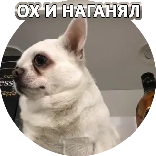 Sticker За мат извени👉 @pornostikerys 🔞 - 9