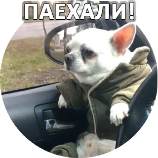 Sticker За мат извени👉 @pornostikerys 🔞 - 8