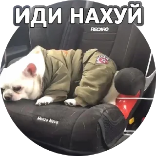 Sticker За мат извени👉 @pornostikerys 🔞 - 4