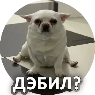 Sticker За мат извени👉 @pornostikerys 🔞 - 11