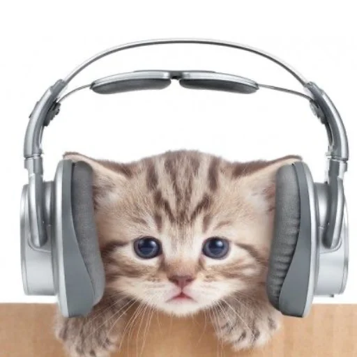 Sticker zaaebalyyy pack - 0