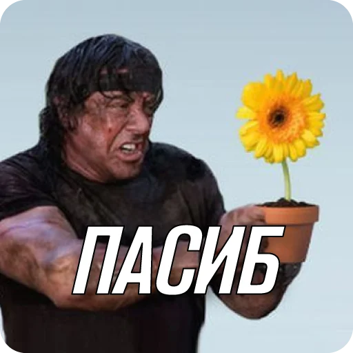 Sticker zabotasticker - 1