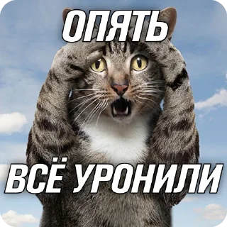 Стикер Заботливые стикеры - 1