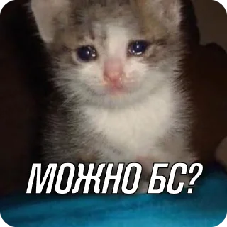 Стикер Заботливые стикеры - 10