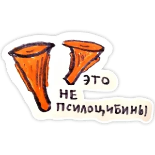 Sticker @zachertny2020 - 1