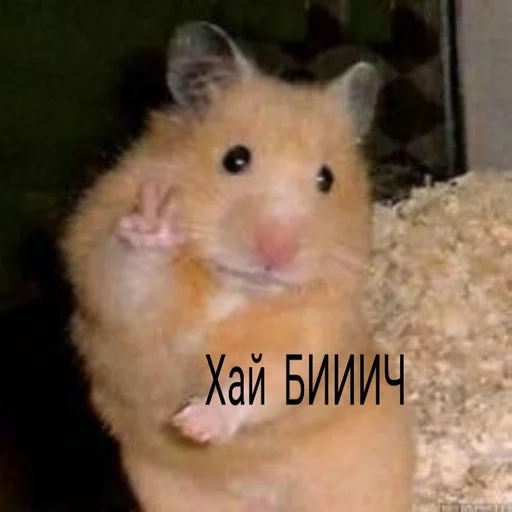 Стикер poxyu вообще :: @fStikBot - 4