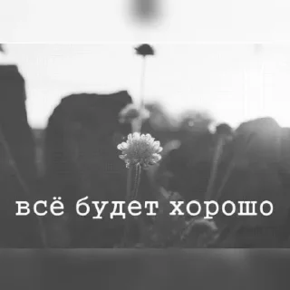 Стикер Enough @stickersb2b - 10