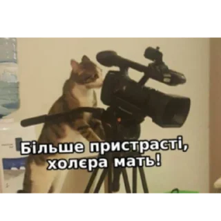 Стикер та я не знаю… - 3