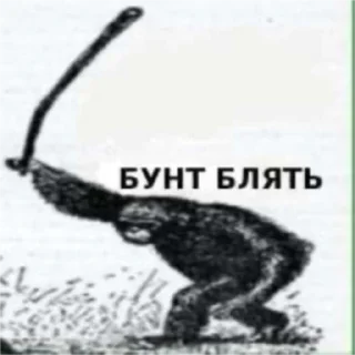 Стикер та я не знаю… - 1