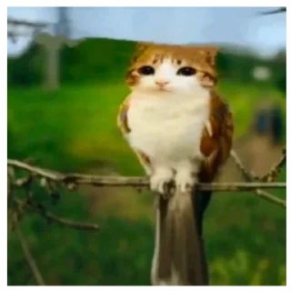 Sticker заебушки - 8