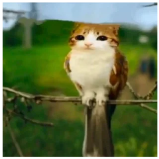 Sticker заебушки - 4