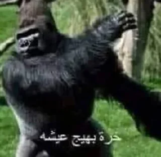 Sticker زعراء - 4