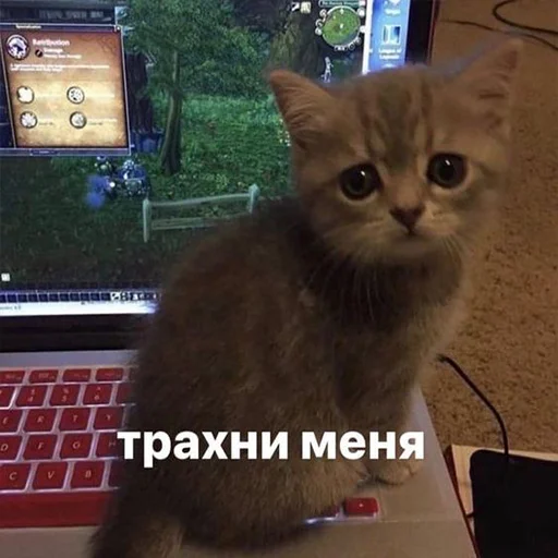 Sticker zahvat4ik - 1