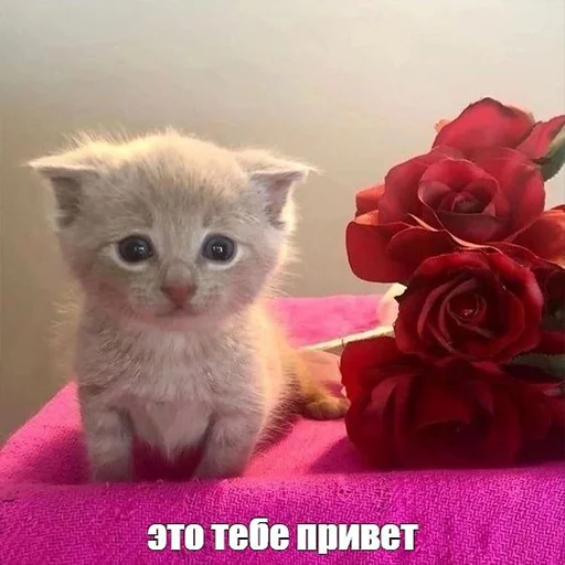 Sticker zahvat4ik - 1