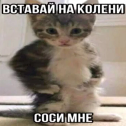 Sticker zahvat4ik - 1