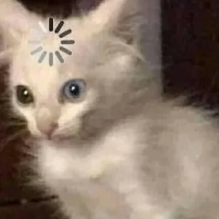 Стикер котики - 3