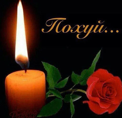 Sticker zalu1488pa - 1