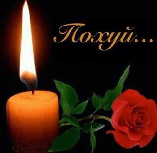 Стикер zalupa1488 - 10