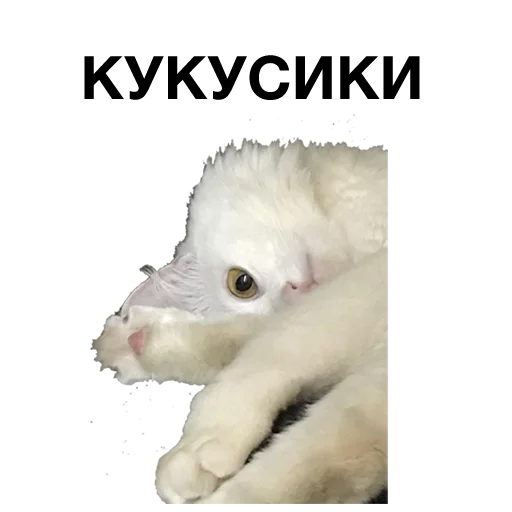 Sticker zalupa_kitty - 1