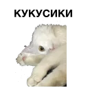 Стикер zalupa_kitty - 2