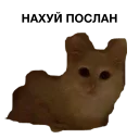 Стикер zalupa_kitty - 0