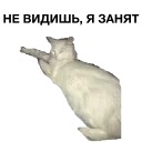 Стикер zalupa_kitty - 10